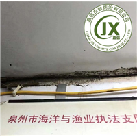 晋江灭白蚂蚁|晋江白蚂蚁预防