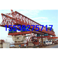 福建福州门式起重机厂家 