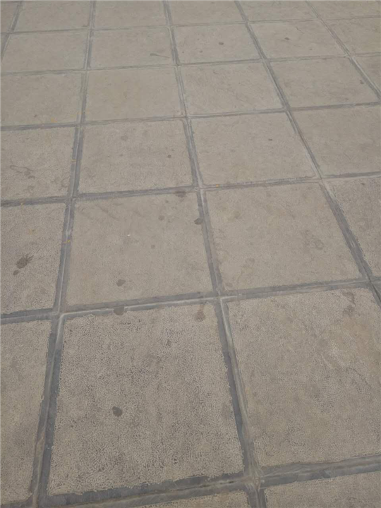荔枝面(03)