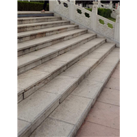 荔枝面(04)