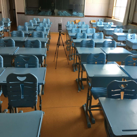 黄岛区实验二小除甲醛 