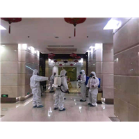 福州消杀公司 