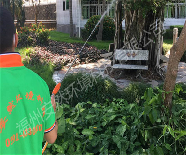 福州灭老鼠