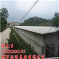 惠州胡须鸡养殖基地、惠州鸡苗批发