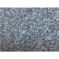 滨州青荔枝面