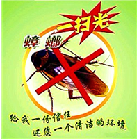 太原灭鼠公司太原灭蟑螂太原玉星灭鼠公司 
