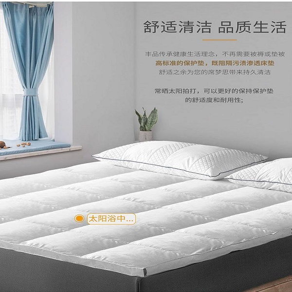 蚌埠碳纤维床垫多少钱