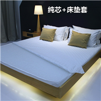 蚌埠碳纤维床垫多少钱