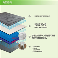 蚌埠进元尚品床垫