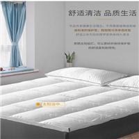 蚌埠碳纤维床垫多少钱