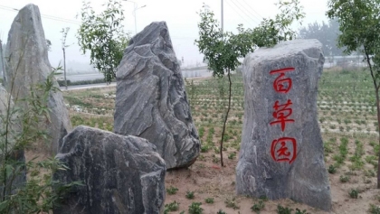 河南刻字石出售