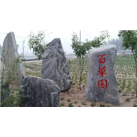 河南刻字石出售