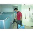 秦皇岛灭鼠│秦皇岛灭鼠公司 