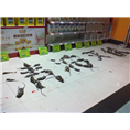秦皇岛灭鼠 