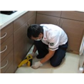 秦皇岛灭鼠│秦皇岛灭鼠公司│秦皇岛除蚂蚁 