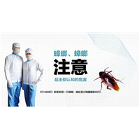 灭蟑螂 