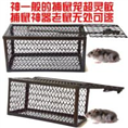 秦皇岛灭鼠哪家好 