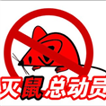 秦皇岛灭鼠公司【电话：13833530066】 