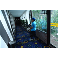 秦皇岛灭鼠│秦皇岛灭臭虫│秦皇岛除蚂蚁 