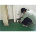 秦皇岛灭鼠│秦皇岛灭蟑螂 