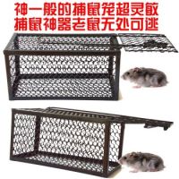 秦皇岛灭鼠│秦皇岛专业灭鼠 
