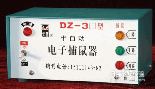 秦皇岛灭蟑螂│秦皇岛灭鼠│秦皇岛除蚂蚁 