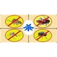 秦皇岛灭鼠│秦皇岛灭蟑螂│秦皇岛灭臭虫 