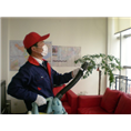 秦皇岛家庭灭鼠│秦皇岛别墅灭鼠 