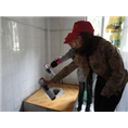 秦皇岛学校灭鼠│秦皇岛医院灭鼠 