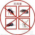 秦皇岛灭臭虫│秦皇岛除蚂蚁 
