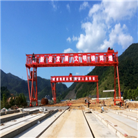 河北石家庄龙门吊出租昂首走向世界 