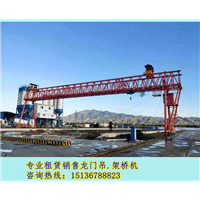 河北衡水龙门吊厂家 精心制造 