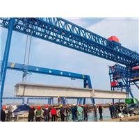 福建泉州50吨龙门吊出租厂家选购方案 