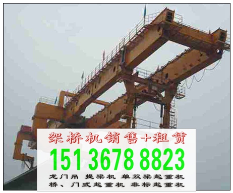 辽宁沈阳门式起重机厂家 专业做起重 