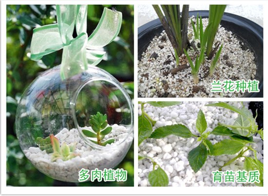 珍珠岩系列08