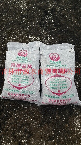 东北育苗基质供应