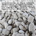 长白山浮石