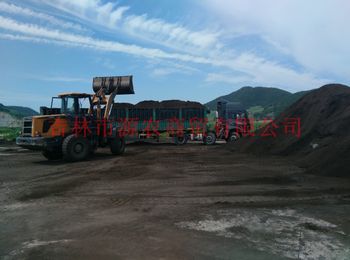 基地图片