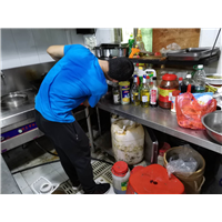 余姚灭蟑螂