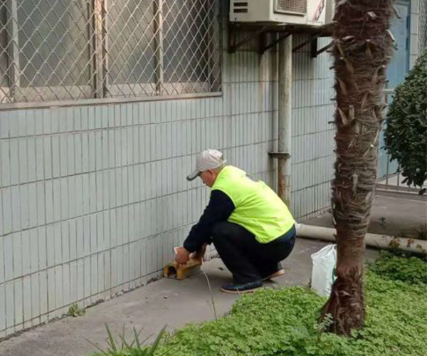 宁波灭鼠公司上门灭鼠