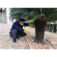 宁波灭白蚁公司电话