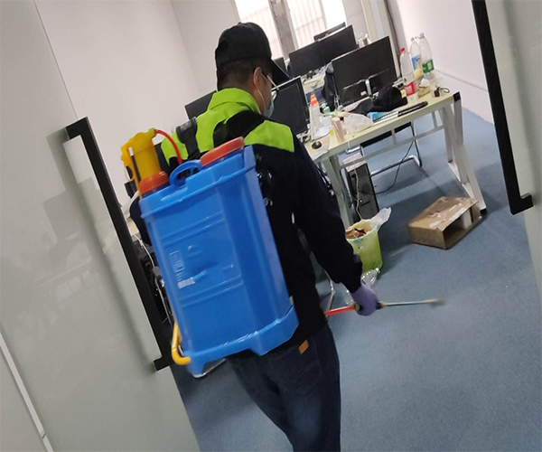 宁波灭白蚁公司