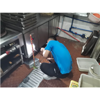 宁波灭鼠杀虫公司