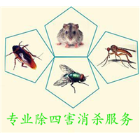 义乌四害消杀公司