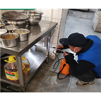 义乌市灭鼠公司