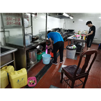 义乌灭蟑螂除白蚁公司