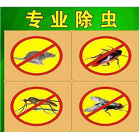 义乌灭四害公司