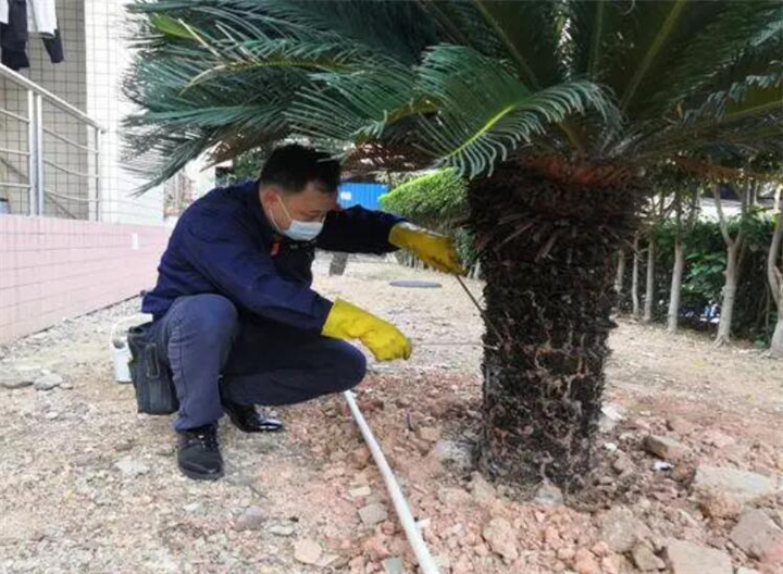 义乌白蚁防治