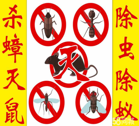 义乌灭蟑螂公司蟑螂卵怎么杀死呢？
