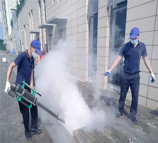 义乌灭鼠公司饭店有老鼠怎么除掉